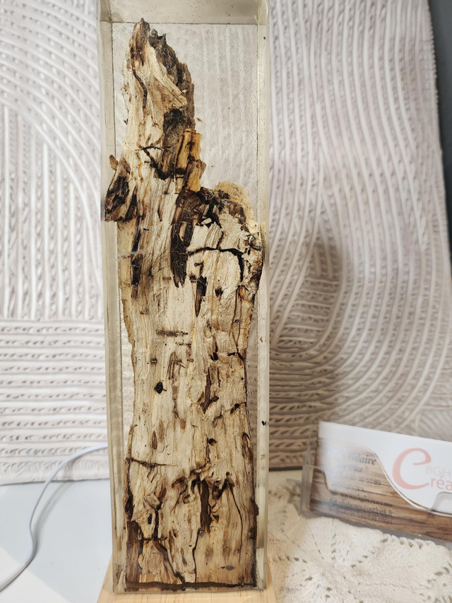 Lampe en résine et bois