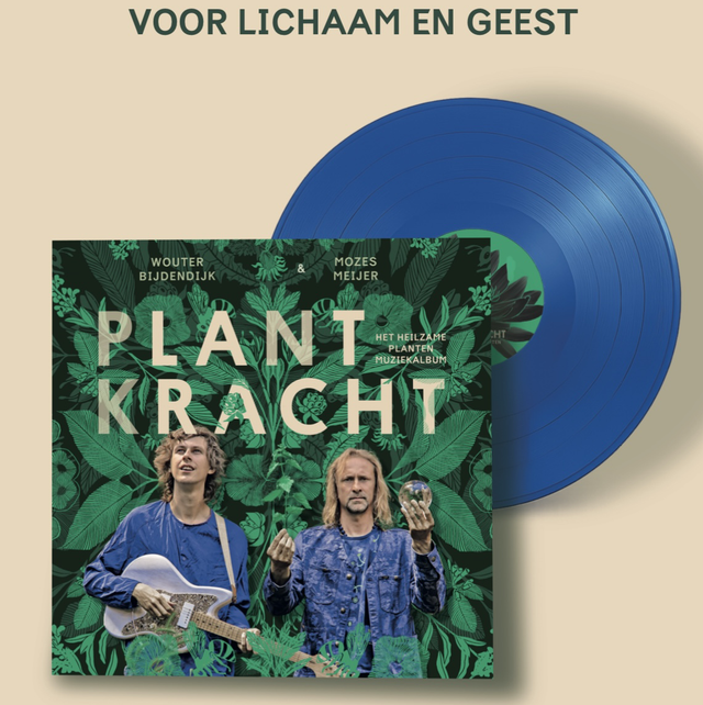 Music album digital (bandcamp)