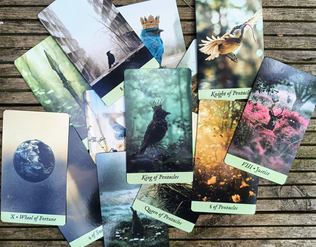 Bird King Tarot: a deck with a post-apocalyptic mystical vibe * by Lida Pavlova & Khvost