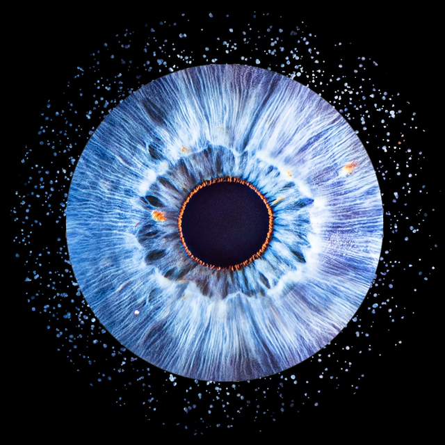 Iris Shooting im Fotostudio für 1 Person