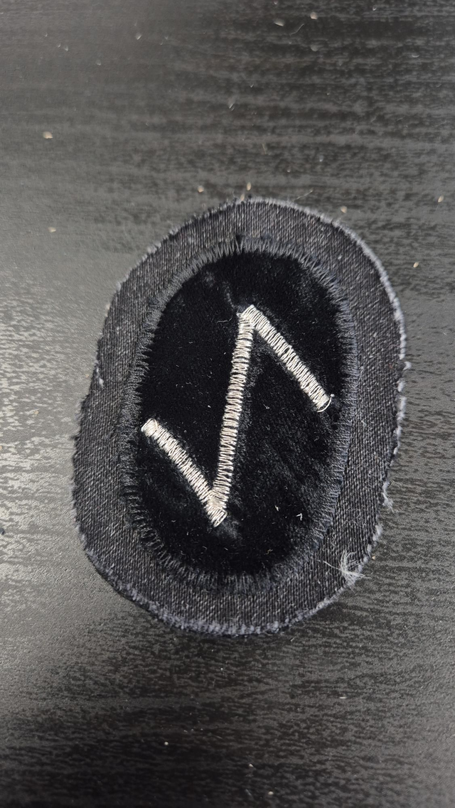 Patch Rune "EIHWAS"