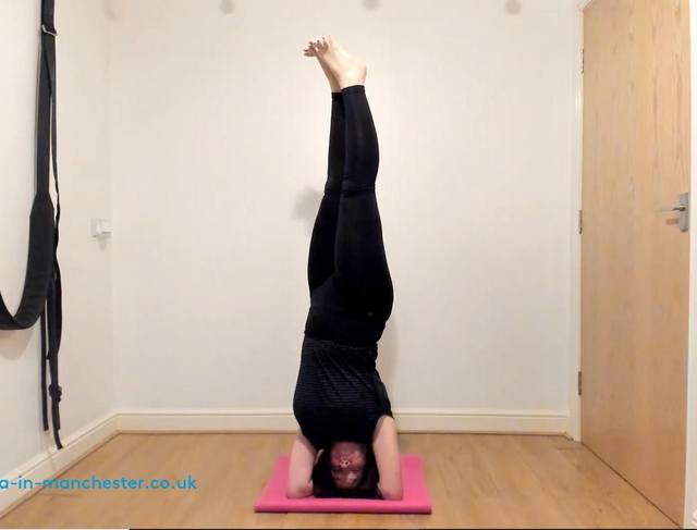 Weds intermediate 5 week block