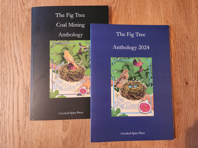 2 book deal - The Fig Tree Coal Mining and 2024 Anthologies