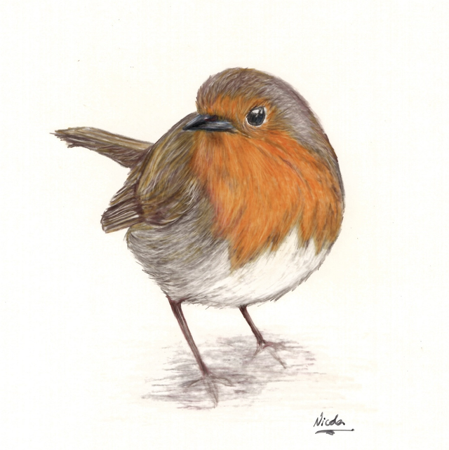 Robin in the snow card