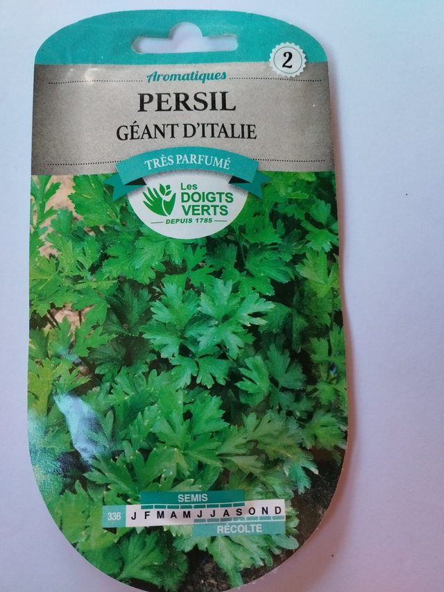 Persil Géant d&#039;Italie
