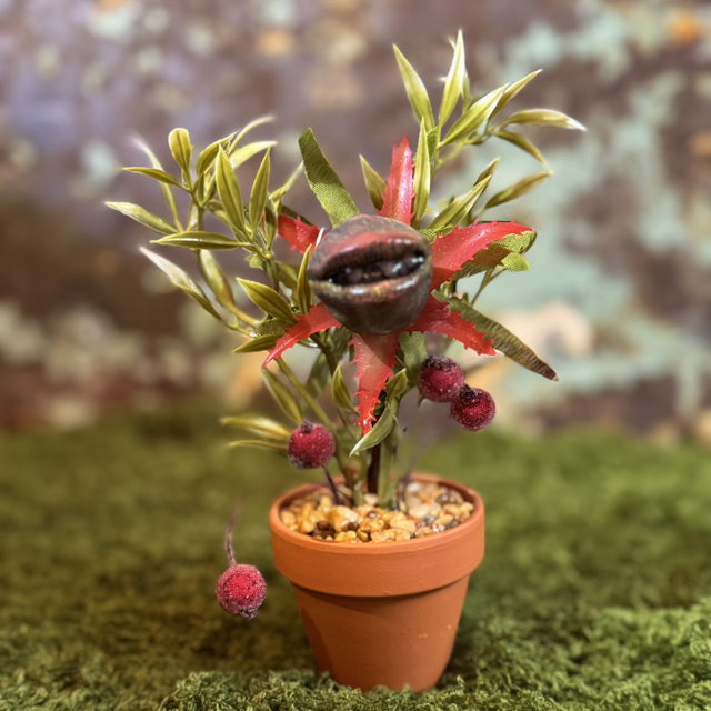 7.🌱 Specimen Name: The Scarlet Howler