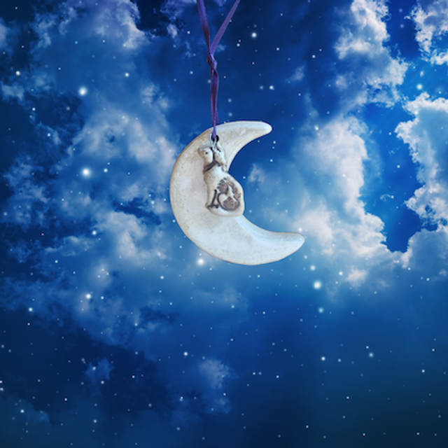 Moon Adornments - January (Wolf Moon)