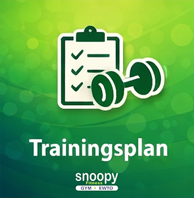 Professioneller TRAININGSPLAN mit Anamnese und Fachbetreuung