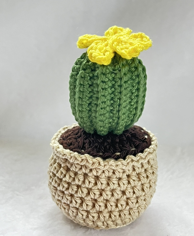 Fiche technique Crochet *Le Mini Cactus*