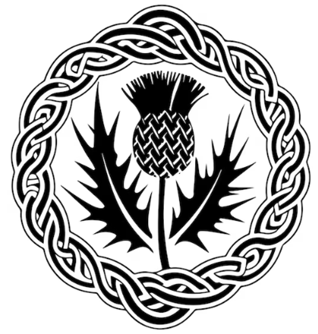 SALE Lacquered coaster