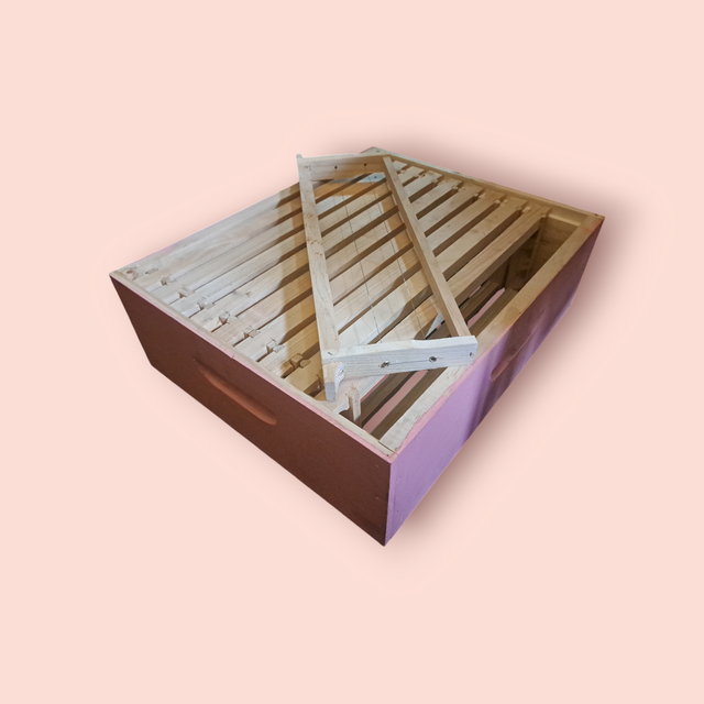 MEDIA ALZA ALAMBRADA