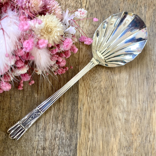 Cuillère coquillage 1