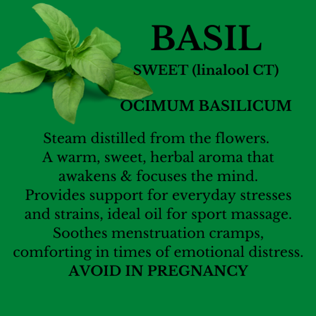 BASIL ESSENTIAL OIL 
