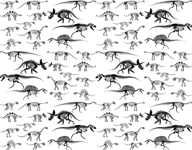 Dinosaur Dino Personalised Gift Wrap Wrapping Paper