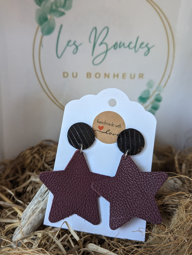 Boucles d&#039;oreilles Star s025