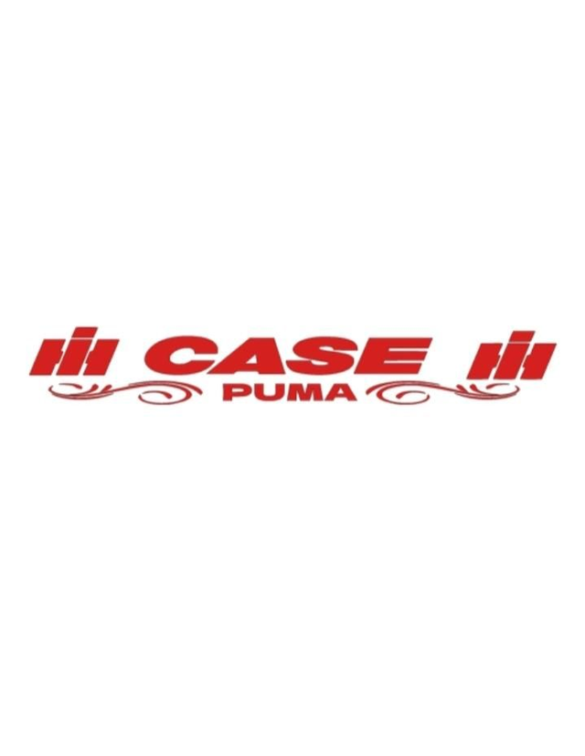 Case (puma) RED