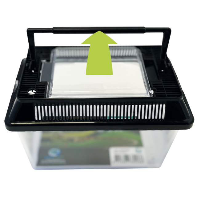 Repto Box - Boîte d’élevage compacte pour reptiles et insectes
