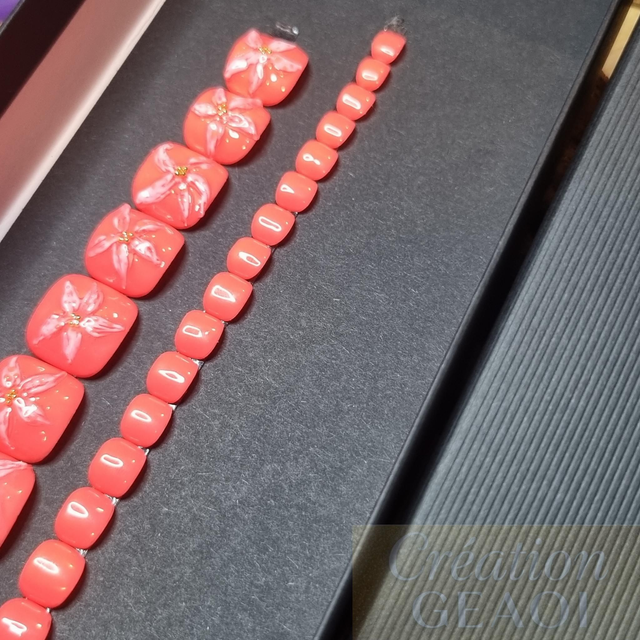 Corail sun flower little pieds