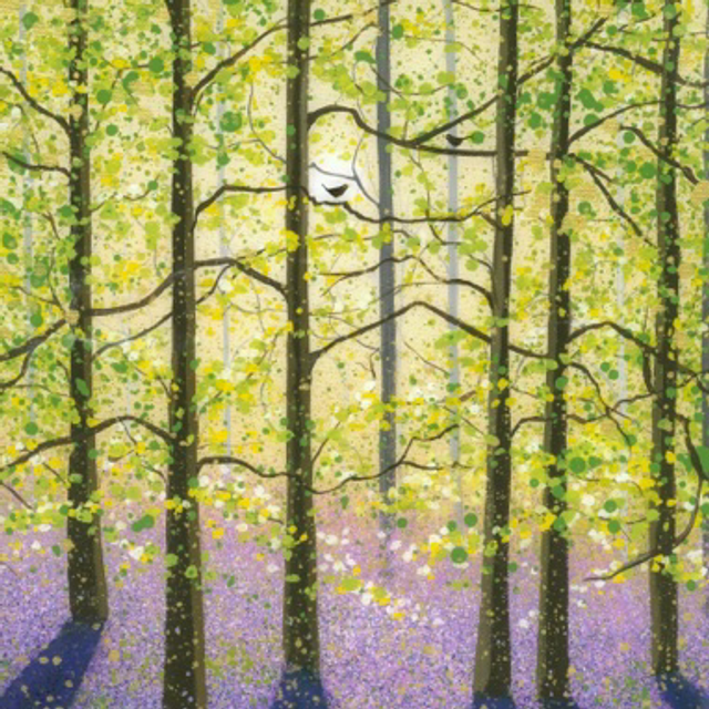 Pamphill bluebell woods. PRINT