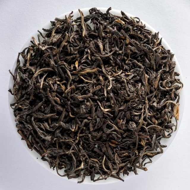 Vietnam Rainforest Kim Tuyen (Bio)