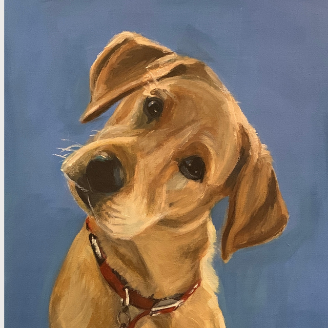 Dog Portrait in Acrylic