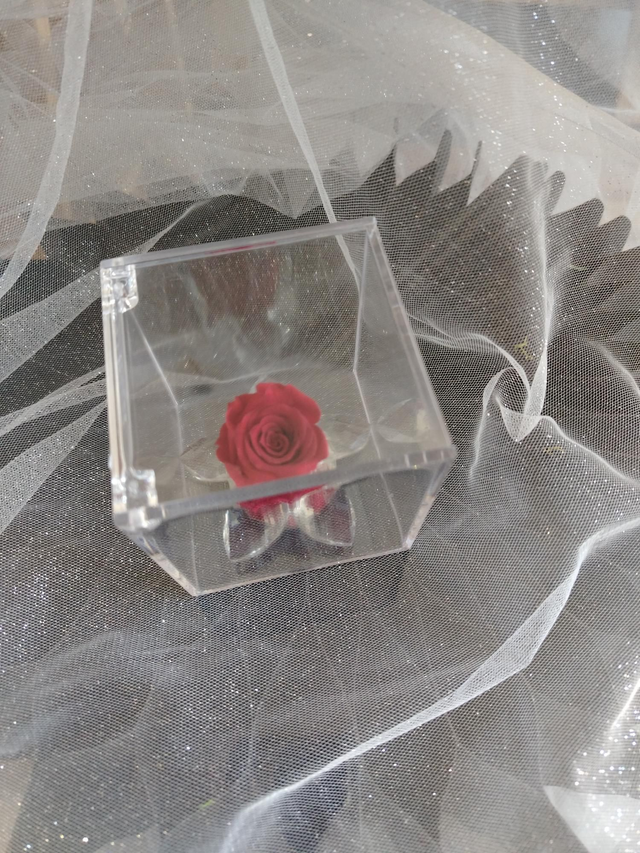 Rosa rossa base Swarovski