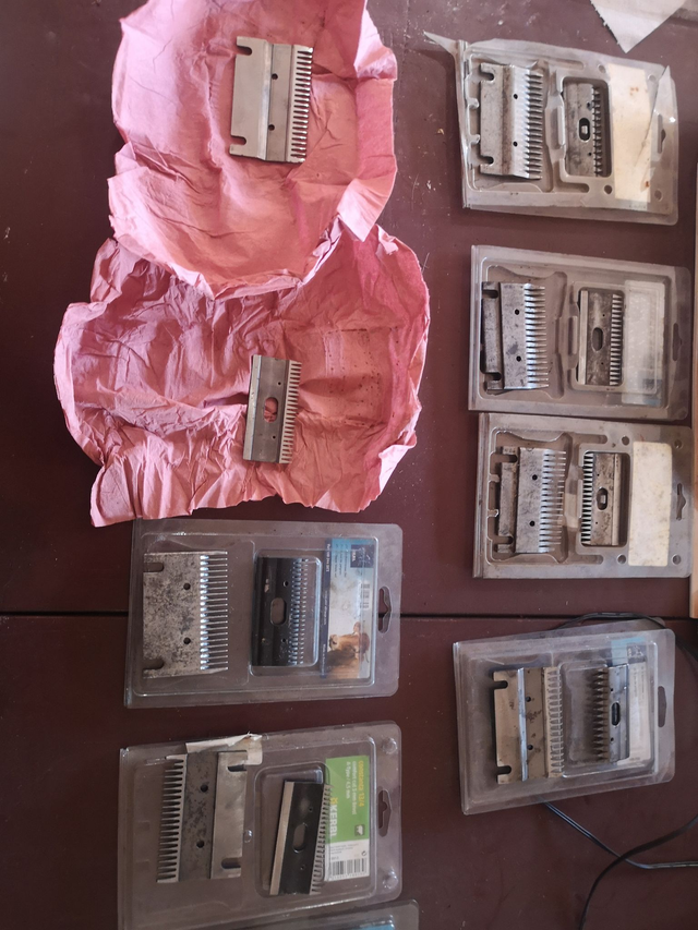 Affûtage tête de coupe bovin/équin