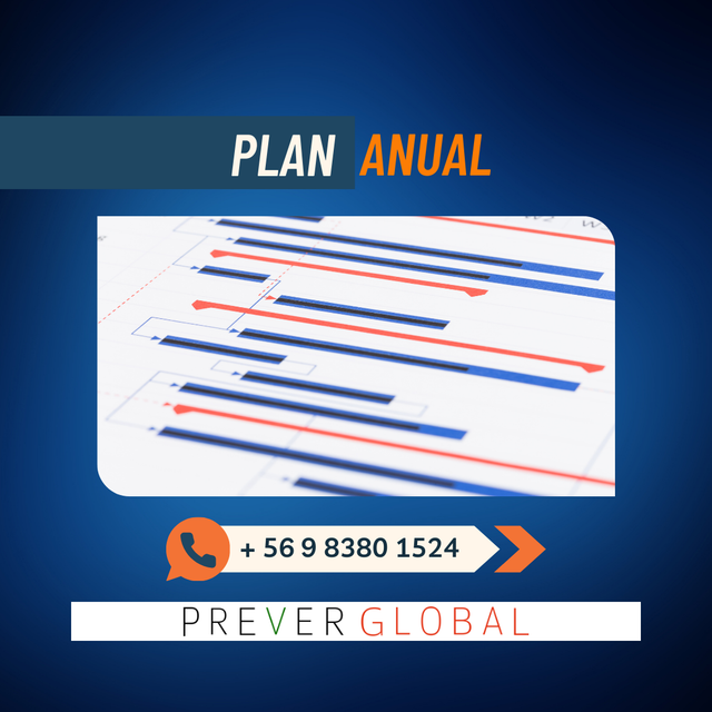 PLAN INICIAL DE PREVENCIÓN DE RIESGOS – DS44