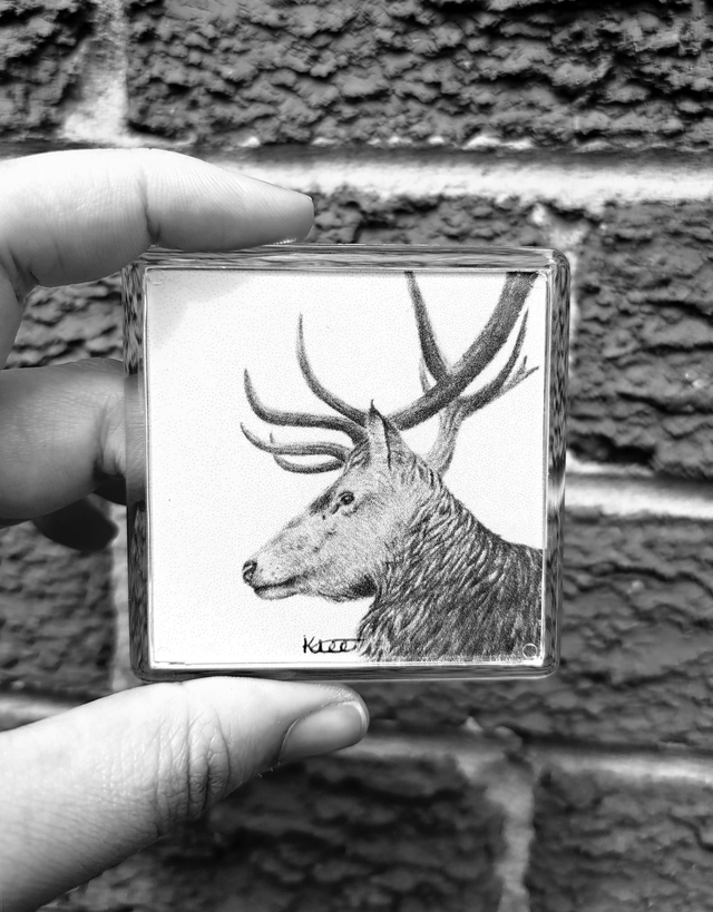 Stag Magnet