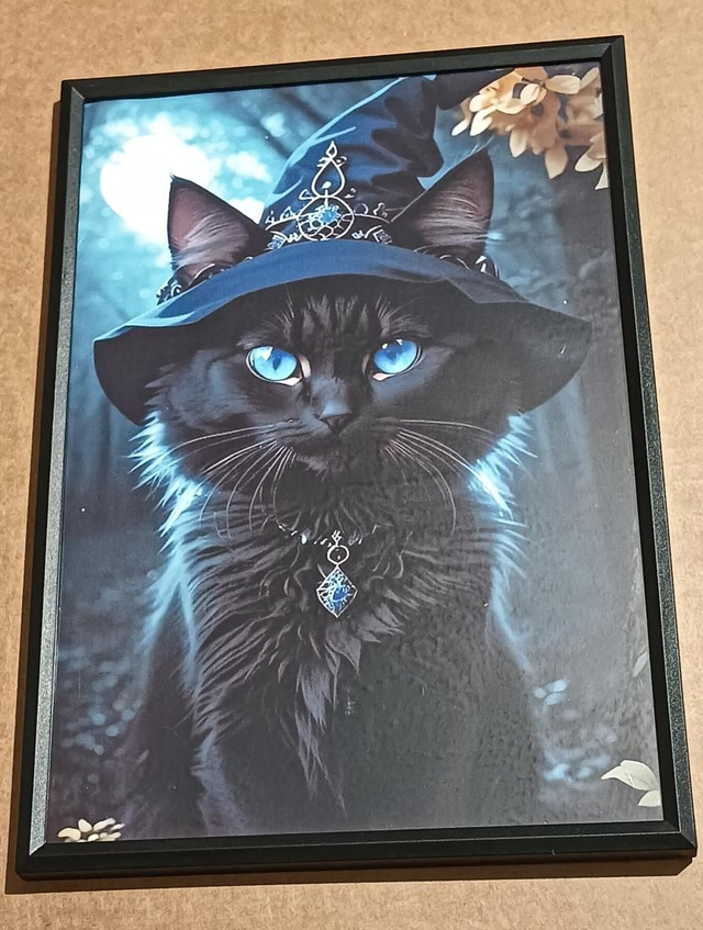 Custom A4 Wizard Black Cat Picture 