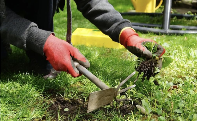 March-October Fortnightly 2hr Domestic Property Maintenance Contract 