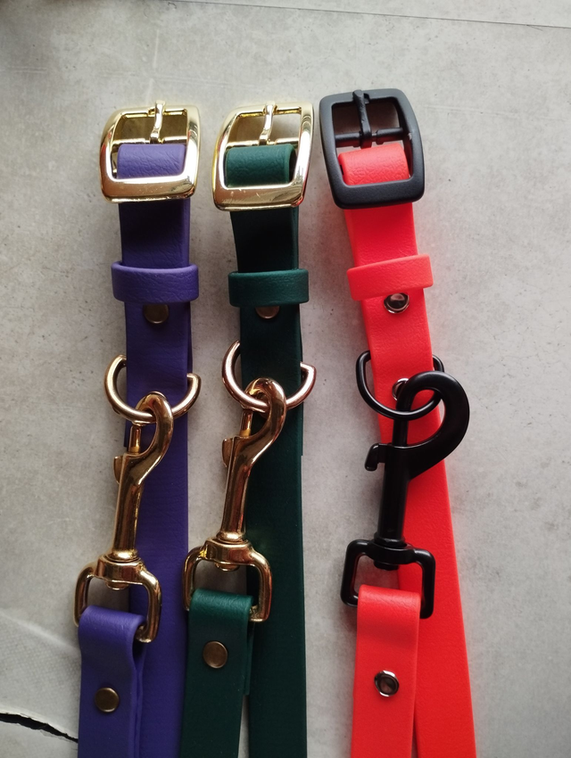 Ensemble collier + laisse Biothane