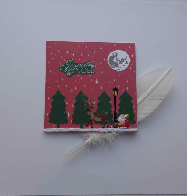 Promenade avec un renne à Noël