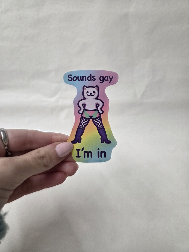 Sounds Gay I&#039;m In Cat Sticker - ST-046
