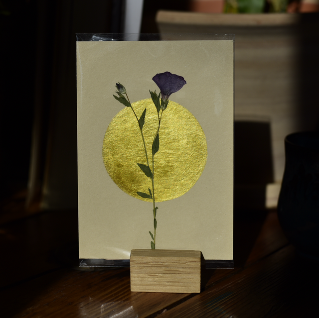 carte postale • lin