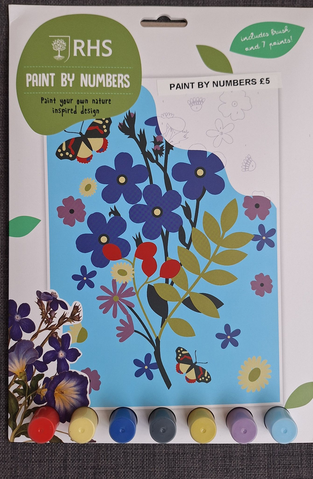 RHS Paint by Numbers - flower design for children version 1