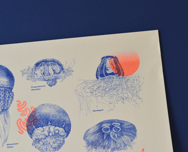 Affichette A4 Neon Jellyfish