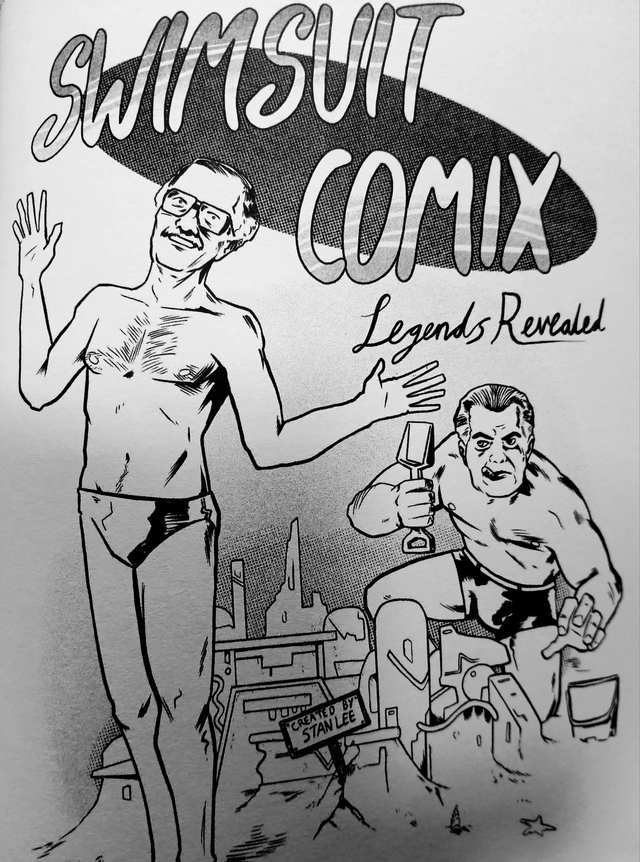 Swimsuit Comix
