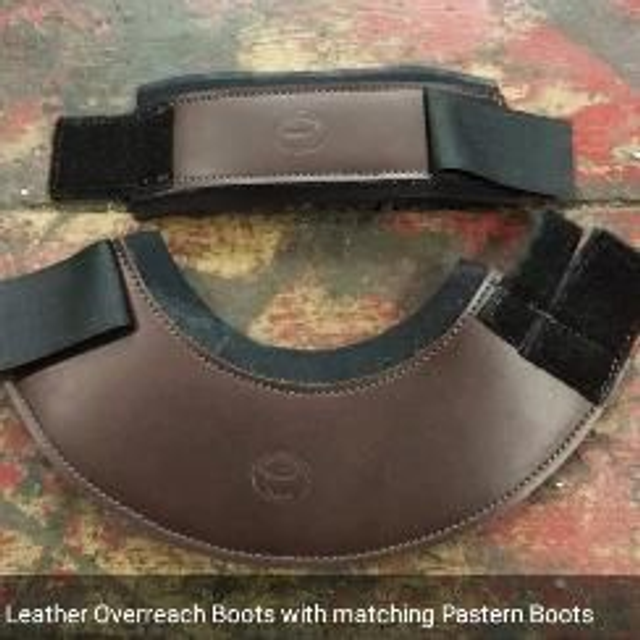 Leather Overreach Boot Pastern Set 