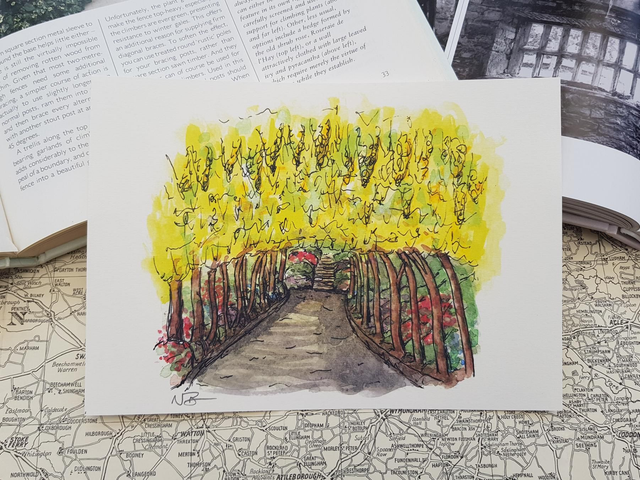 Bodnant Garden Laburnum arch print 