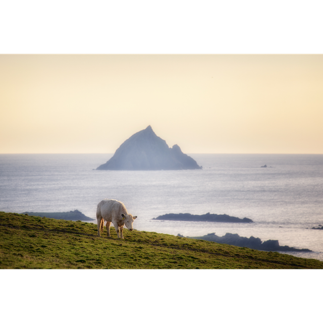 An Tiaracht - Tearaght Island