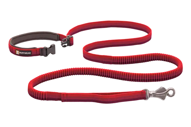 Roamer Leash