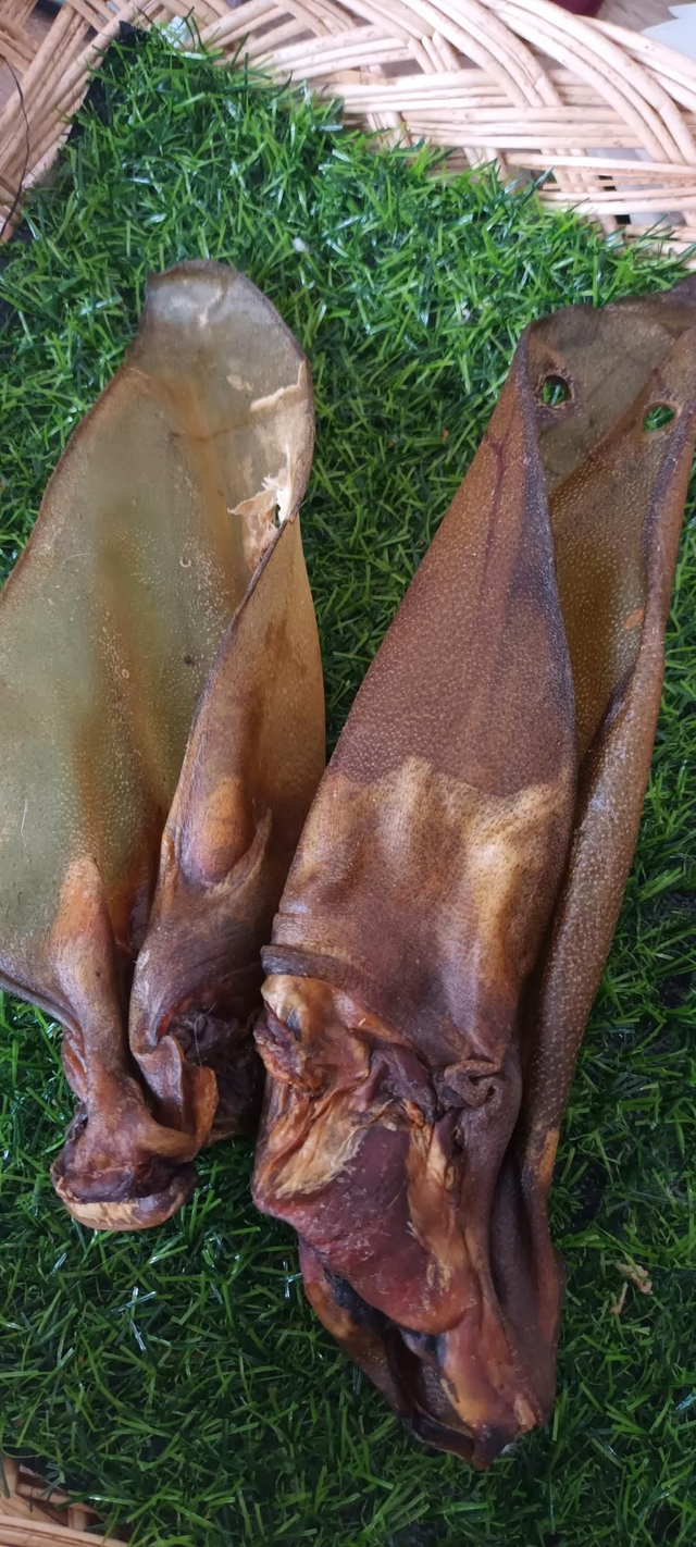 Large Plain Cows Ear 