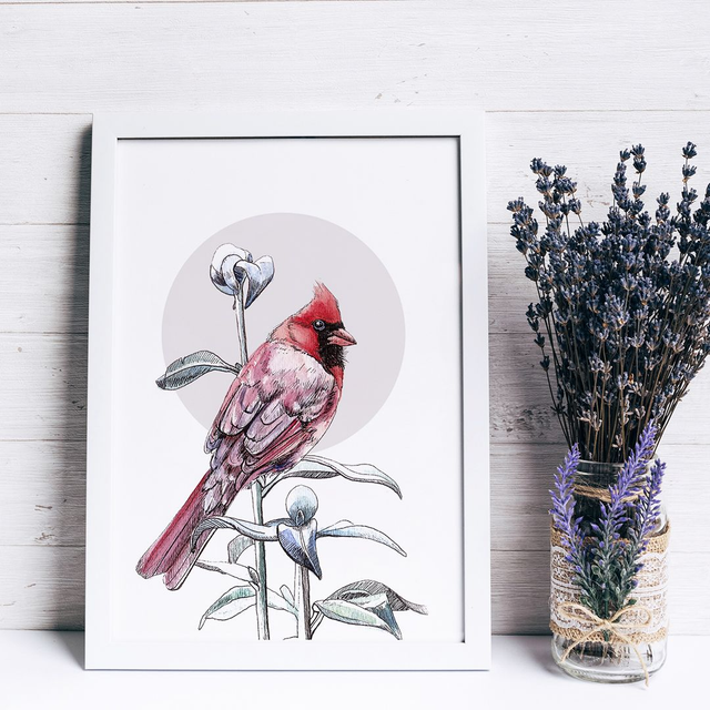 Northern Cardinal Bird Print - After an original ink and watercolour illustration