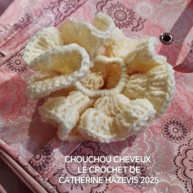 2025 CHOUCHOU CHEVEUX 