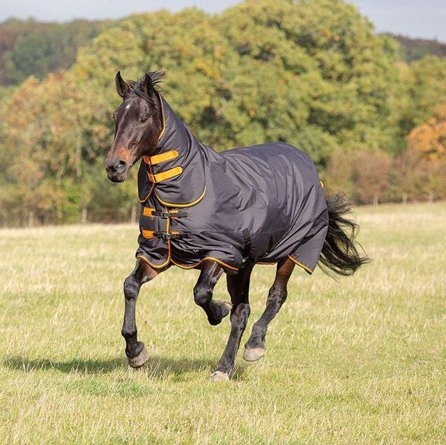 Shires Tempest Original 200 Turnout Combo Rug
