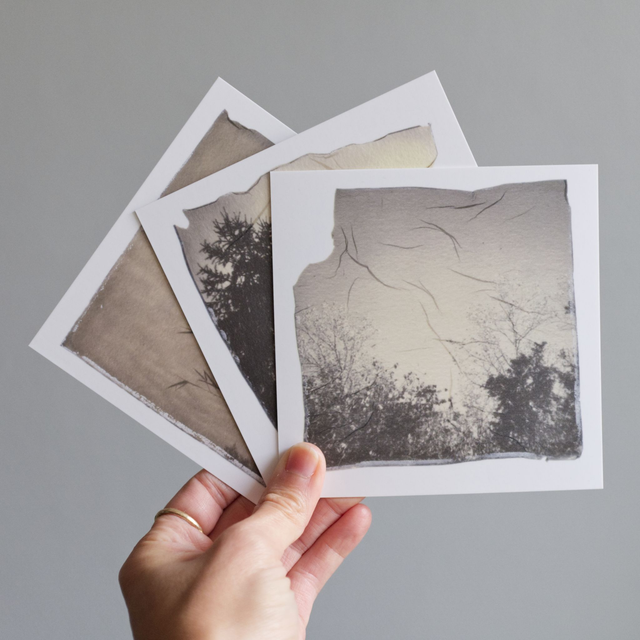 Pochette 5 cartes d'art "Du vent dans les arbres"