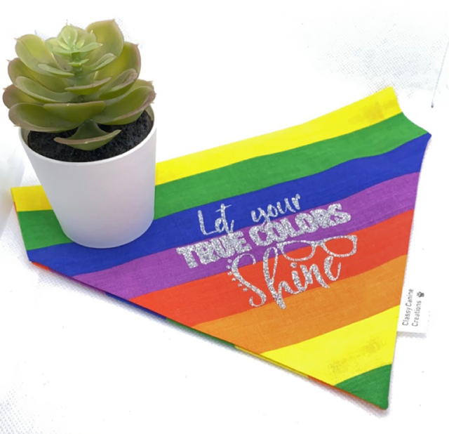 Pride Bandana 