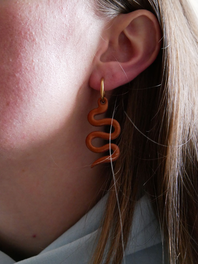 Serpents marron brillant