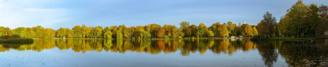 Schlossteich Chemnitz. Whispers of Autumn Tranquility.